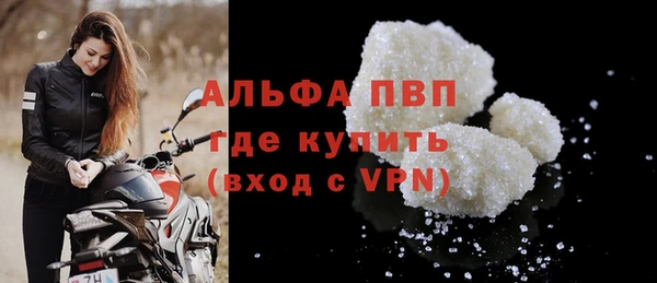 PSILOCYBIN Вяземский