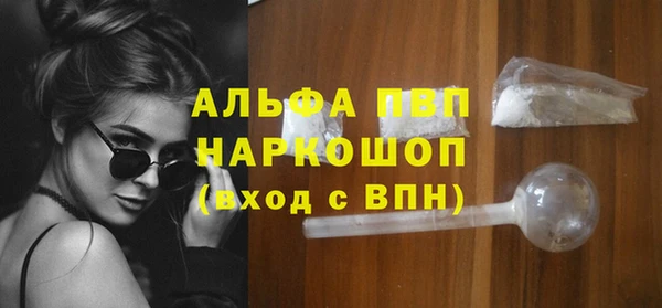 прущие грибы Вязники