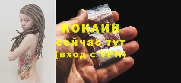 прущие грибы Вязники