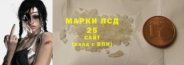 прущие грибы Вязники