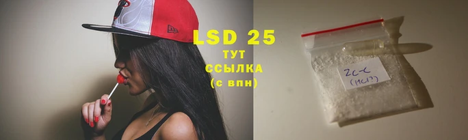 PSILOCYBIN Вяземский