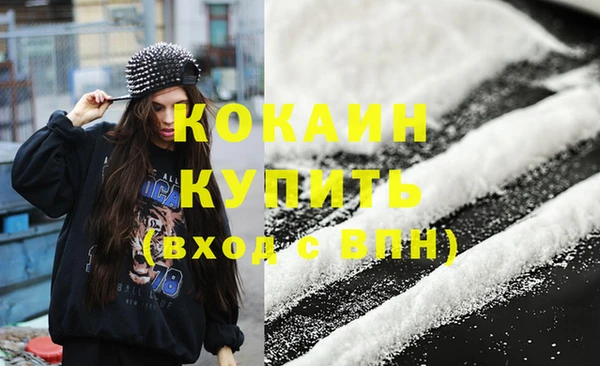 прущие грибы Вязники
