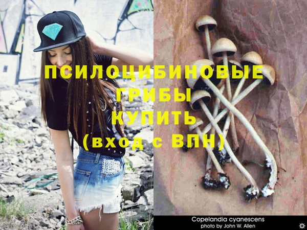 герыч Вязьма