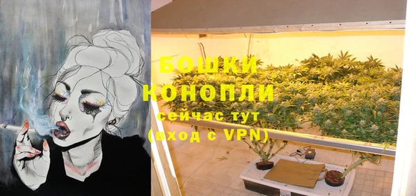 прущие грибы Вязники