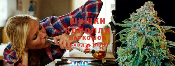 PSILOCYBIN Вяземский