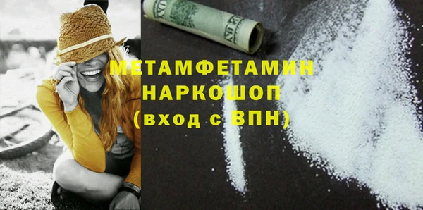 прущие грибы Вязники