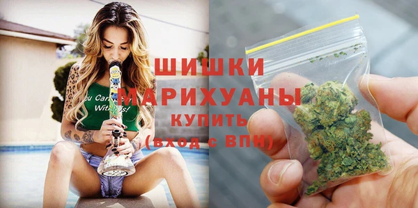 PSILOCYBIN Вяземский